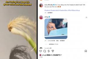 比赛直播免费观看_比赛直播免费观看在线观看